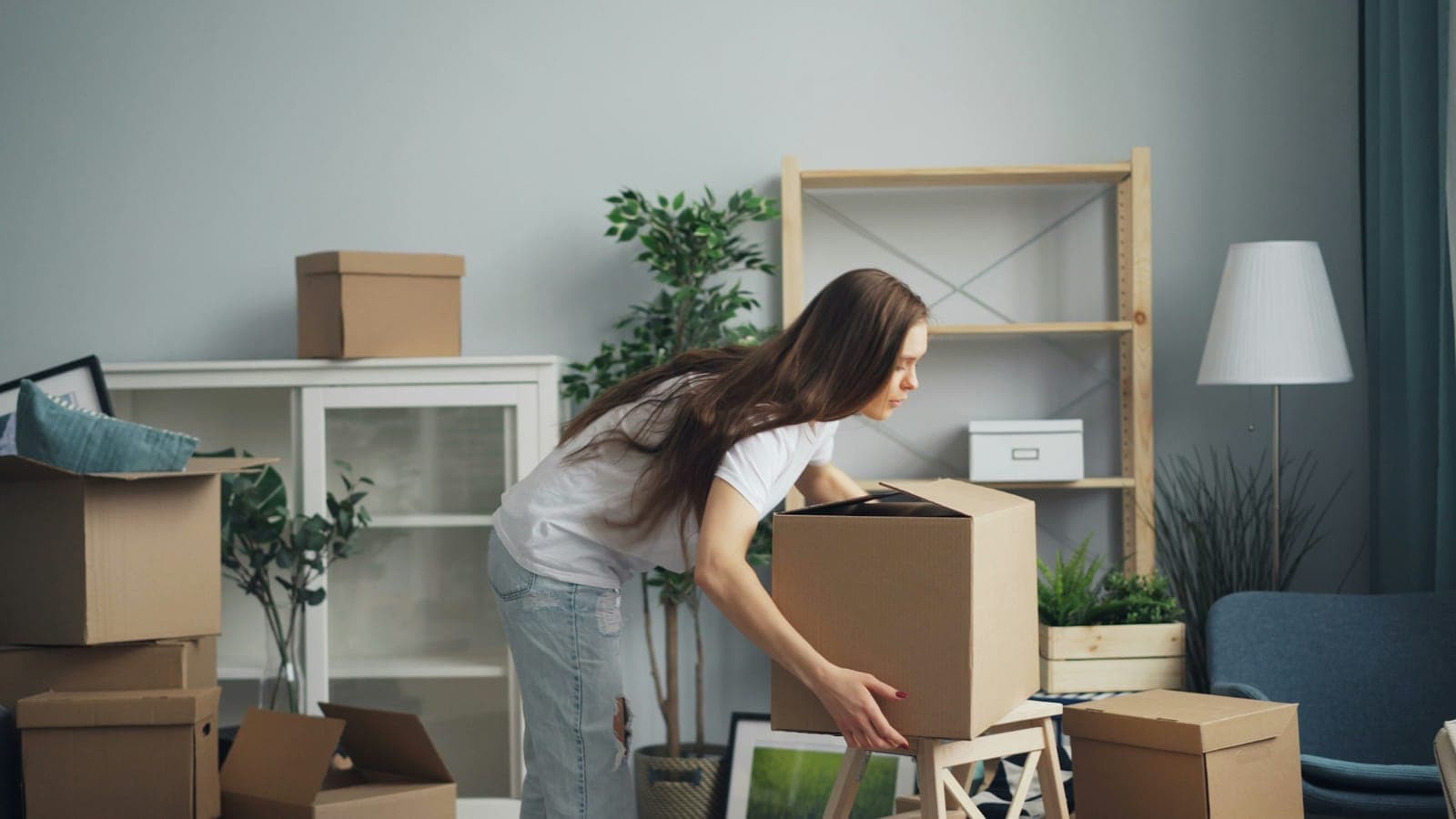 Sorted moving boxes labeled keep, donate, and sell in a sunlit Denver living room before a move
